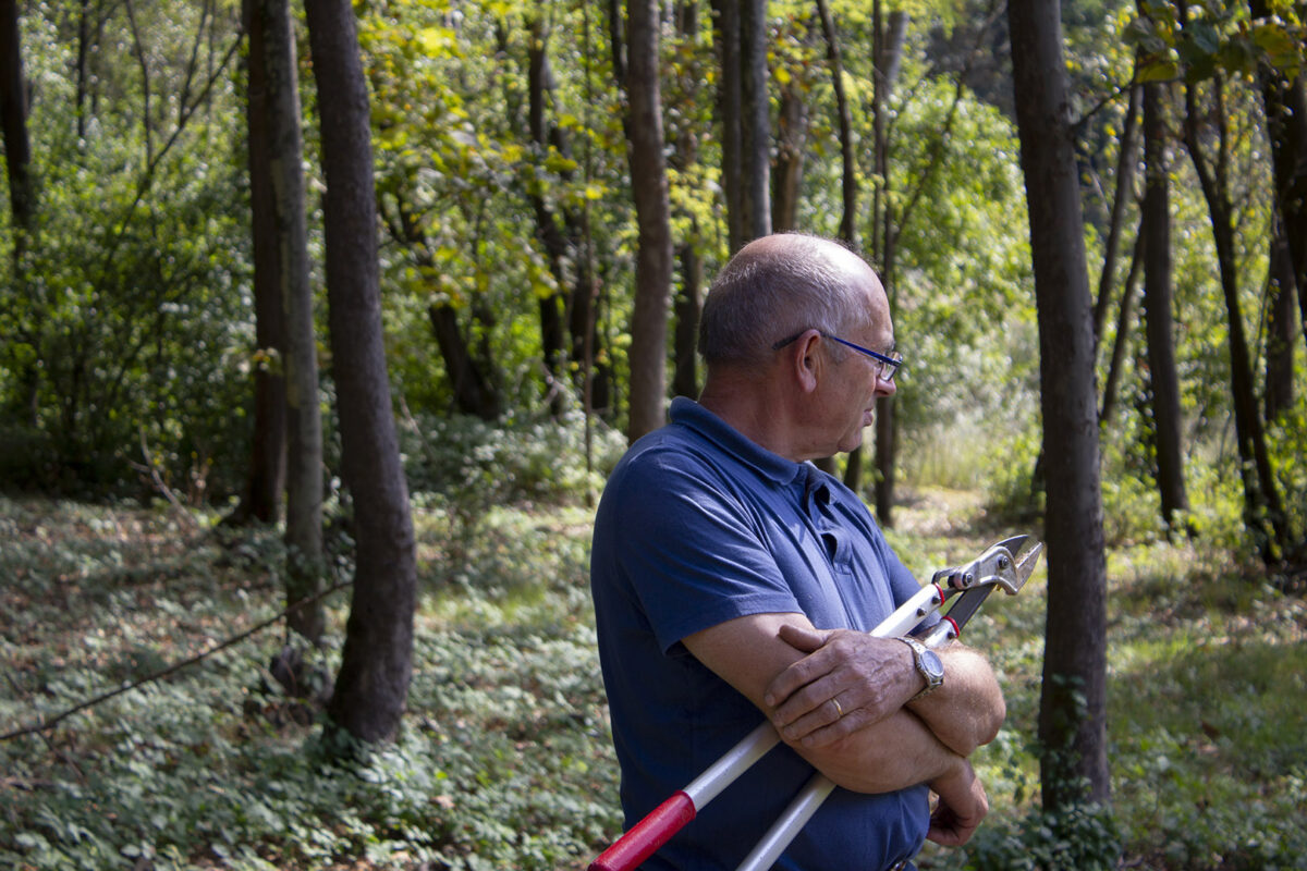 Man in woods