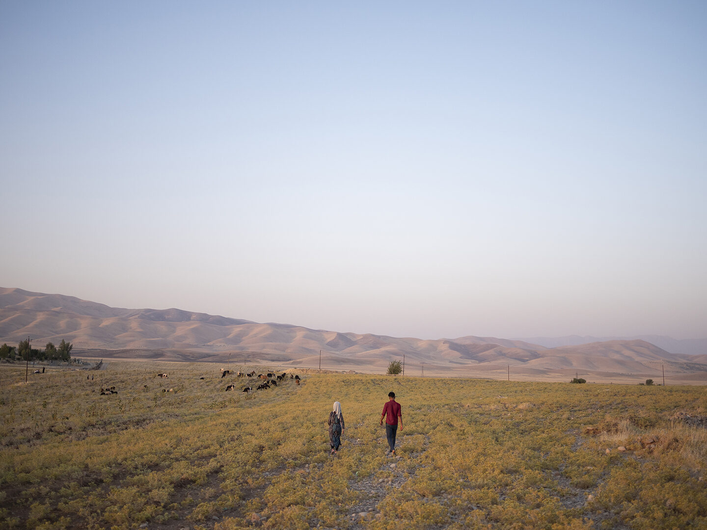 a man and woman are walking in a vast field